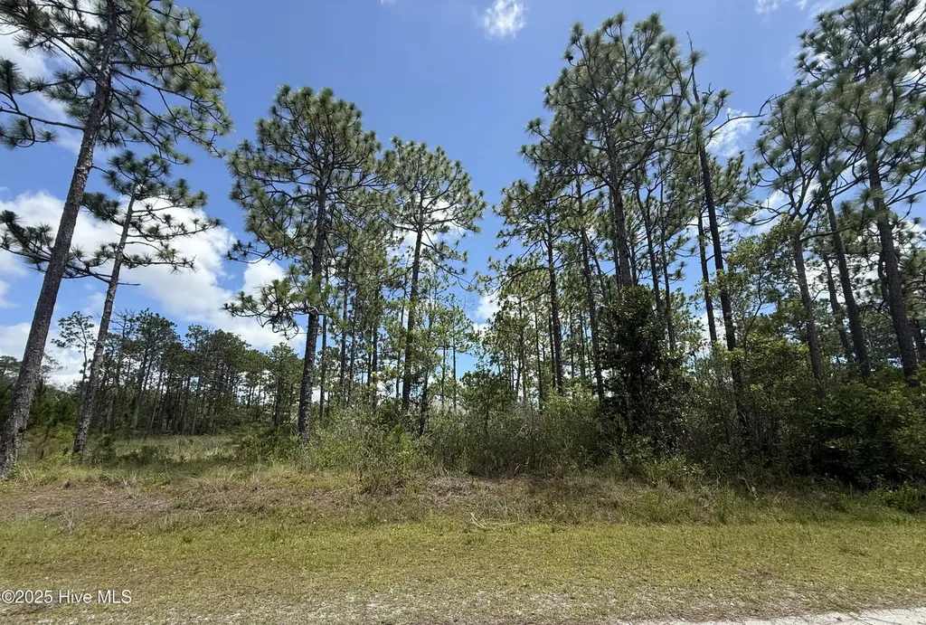 407 Sunset Road Boiling Spring Lakes NC 28461