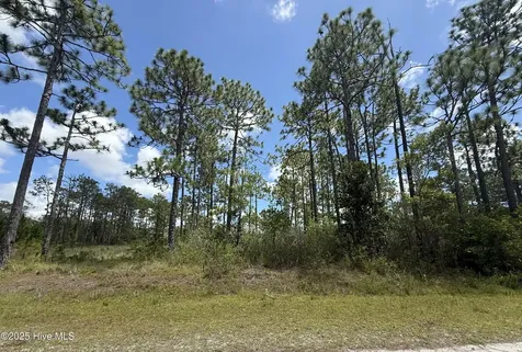 407 Sunset Road Boiling Spring Lakes NC 28461