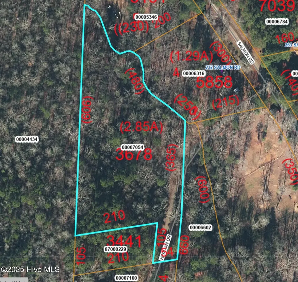 Tbd Herman Drive Carthage NC 28327