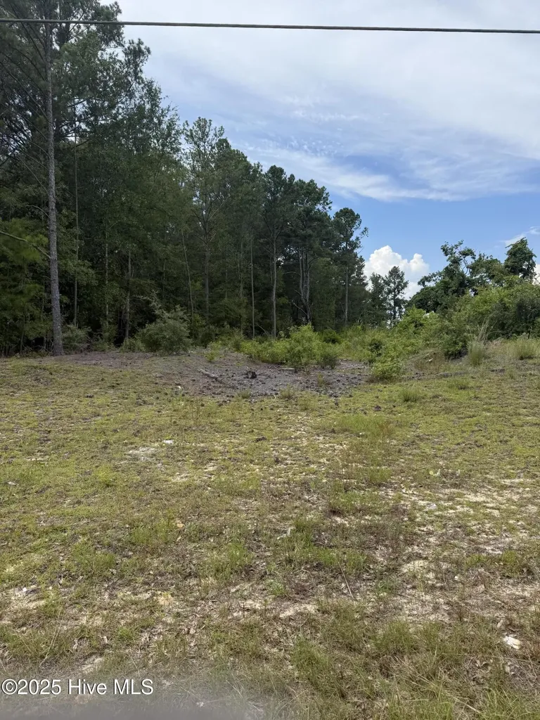 757 E Washington Street Extension Rockingham NC 28379