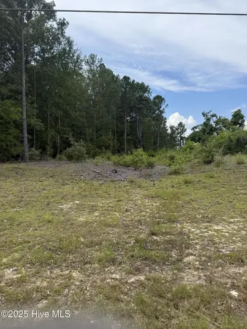 757 E Washington Street Extension Rockingham NC 28379
