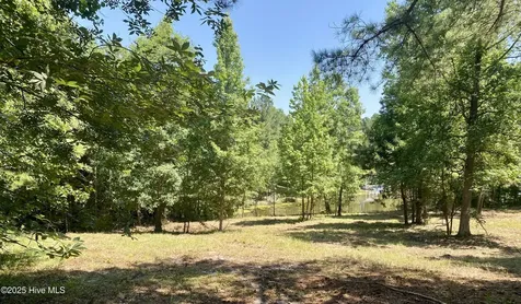 291 Gails Road West End NC 27376