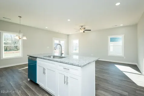 114 Chester Place Pikeville NC 27863