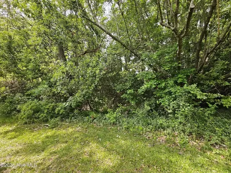1203 Petite Terre Court New Bern NC 28560