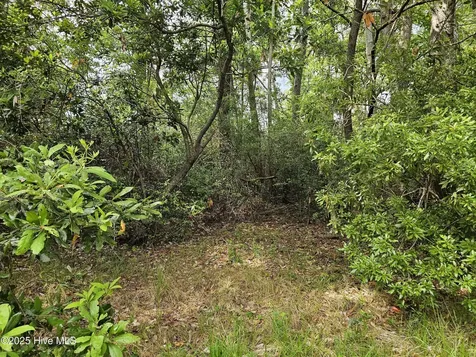 1203 Petite Terre Court New Bern NC 28560
