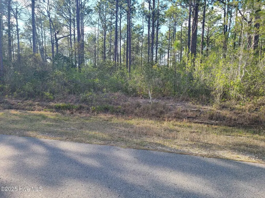 Lot 208 Pepperhill Road Boiling Spring Lakes NC 28461