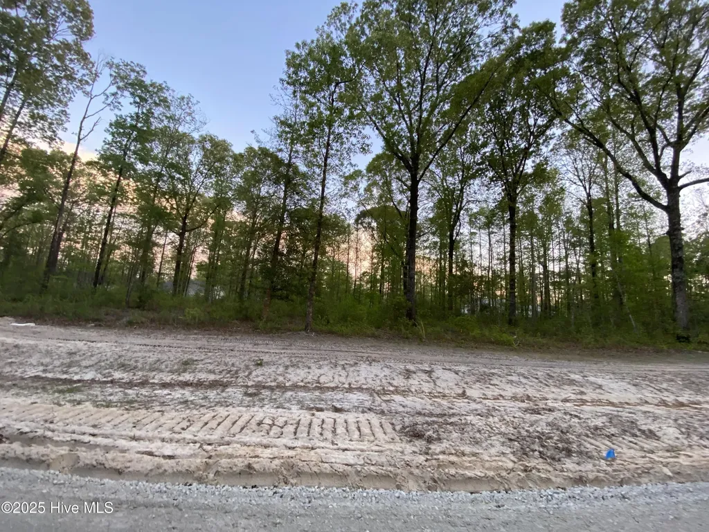 Lot 28 Plover Way New Bern NC 28562