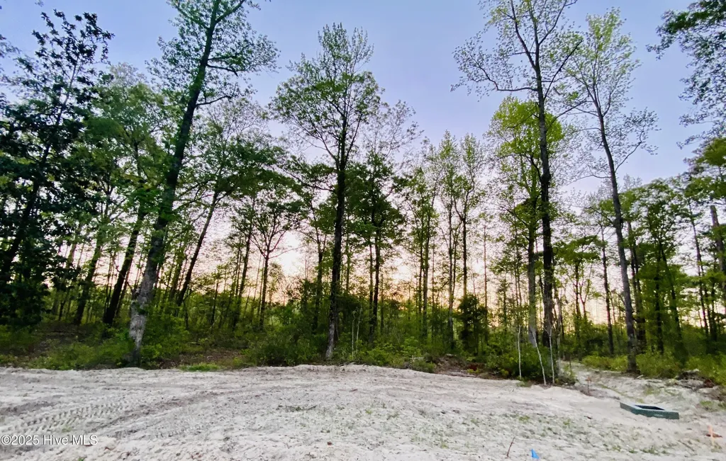 Lot 27 Plover Way New Bern NC 28562