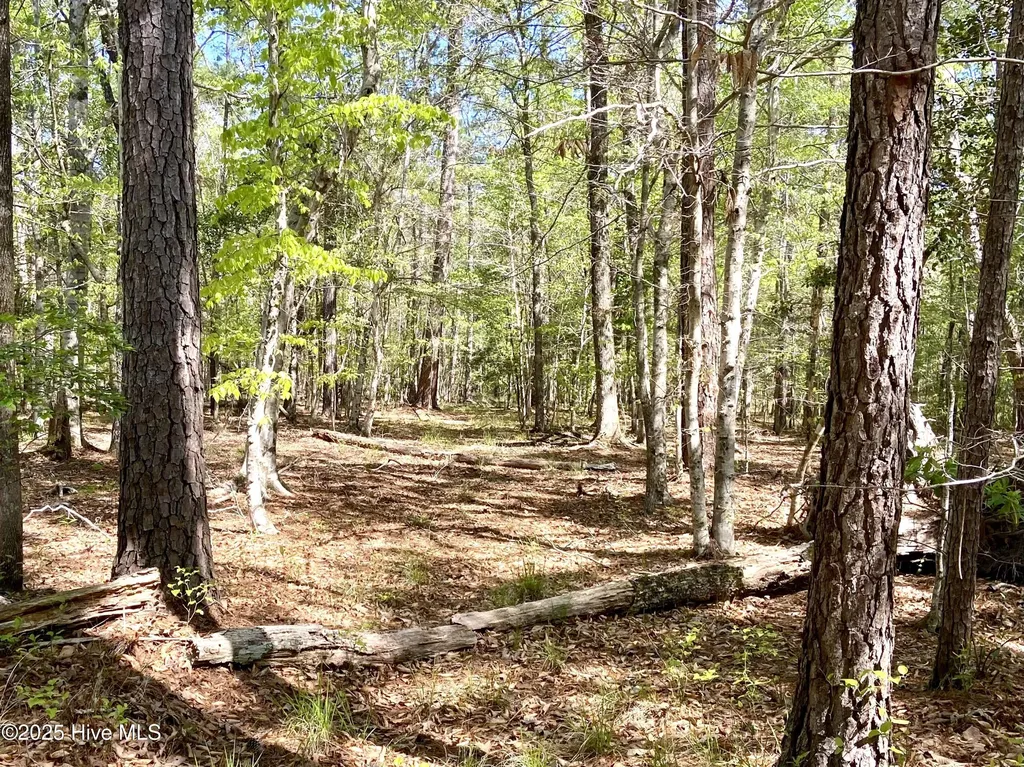 Lot 2 Berrys Creek Road Beaufort NC 28516