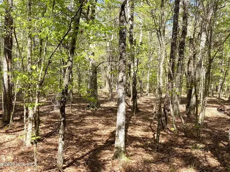 Lot 2 Berrys Creek Road Beaufort NC 28516