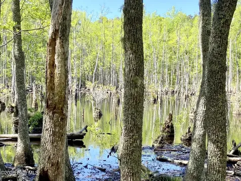 Lot 2 Berrys Creek Road Beaufort NC 28516