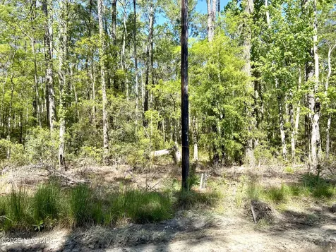 Lot 2 Berrys Creek Road Beaufort NC 28516
