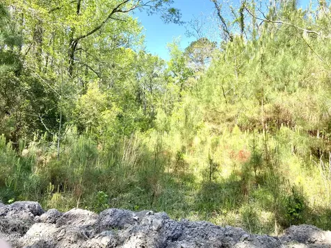 Lot 2 Berrys Creek Road Beaufort NC 28516