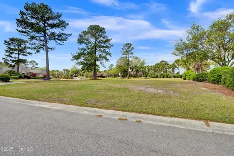 1007 Natural Springs Way Leland NC 28451