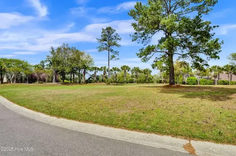 1007 Natural Springs Way Leland NC 28451