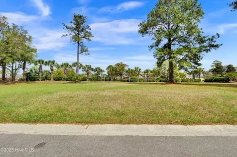 1007 Natural Springs Way Leland NC 28451
