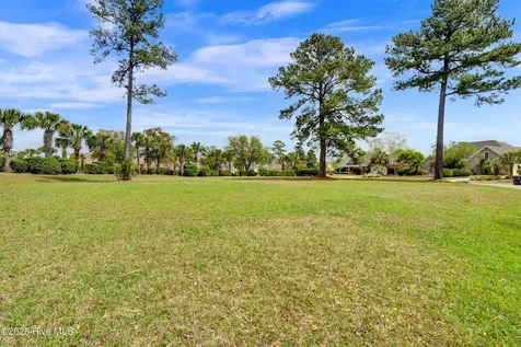 1007 Natural Springs Way Leland NC 28451