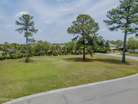 1007 Natural Springs Way Leland NC 28451