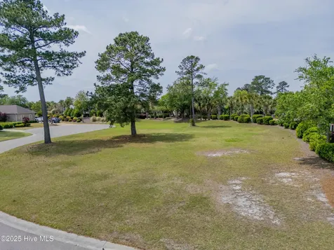 1007 Natural Springs Way Leland NC 28451