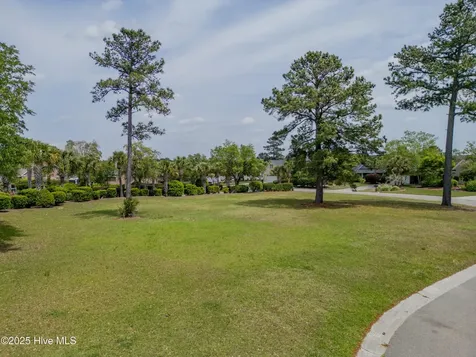 1007 Natural Springs Way Leland NC 28451