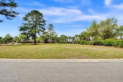 1007 Natural Springs Way Leland NC 28451