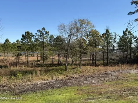 302 E Ivybridge Drive Hubert NC 28539