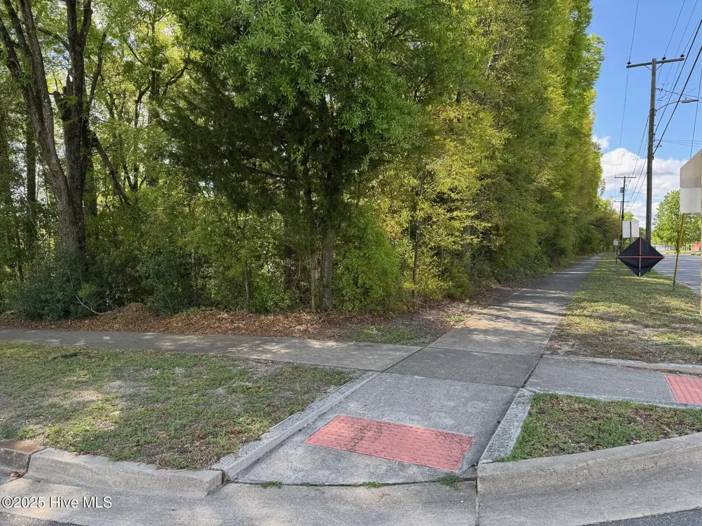 1006 Mcrae Street Wilmington NC 28401