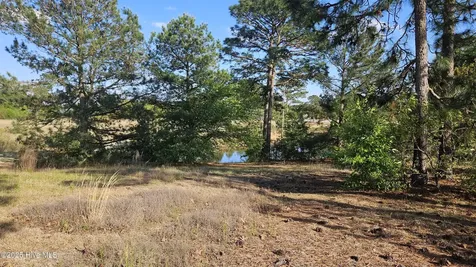1 Old Tom Morris Road Garland NC 28441