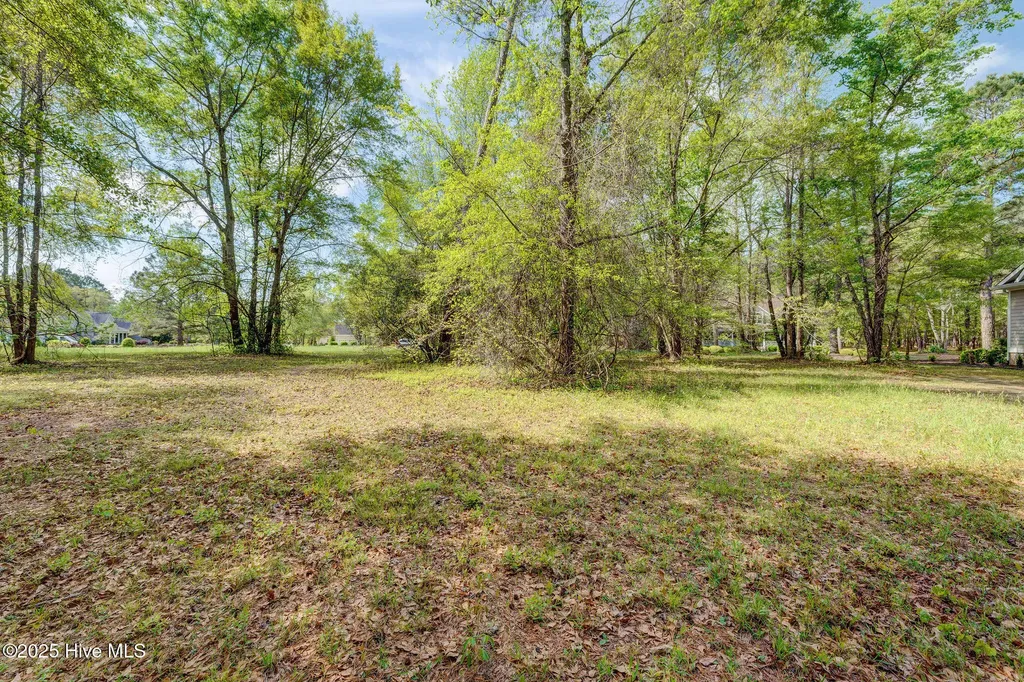 161 Maple Creek Drive Wallace NC 28466