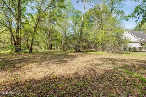 161 Maple Creek Drive Wallace NC 28466