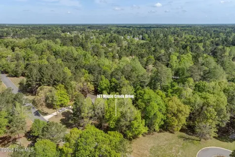 161 Maple Creek Drive Wallace NC 28466