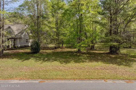 161 Maple Creek Drive Wallace NC 28466