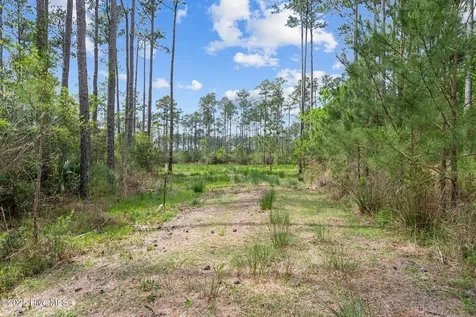 3411 Upper Neck Road Bayboro NC 28515