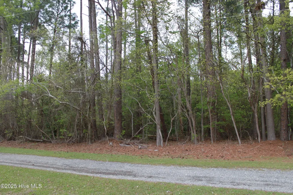 305/307 Yakima Trail Edenton NC 27932