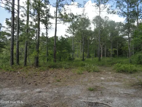 1 River Trail Lot 1 Burgaw NC 28425