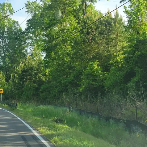 Lots N Wright Street Burgaw NC 28425