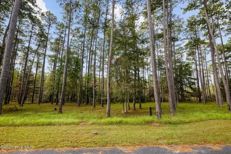 87 Broadview Point Oriental NC 28571