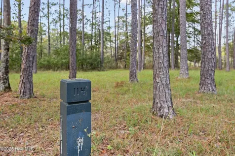 87 Broadview Point Oriental NC 28571