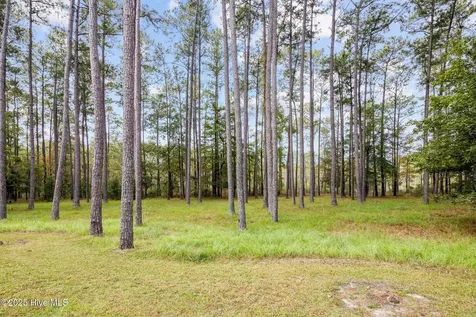 87 Broadview Point Oriental NC 28571