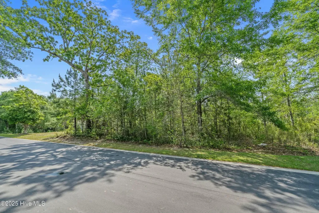 3088 Brackenbury Street SW Shallotte NC 28470