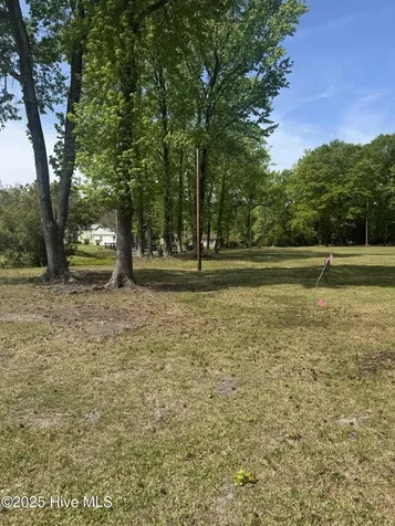 Lot 247 Grave Street New Bern NC 28562