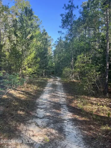 Tbd Wood Creek Drive Hubert NC 28539