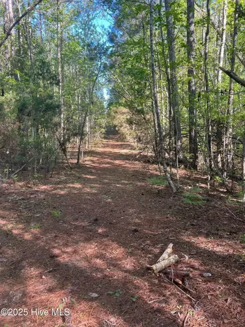 Tbd Wood Creek Drive Hubert NC 28539
