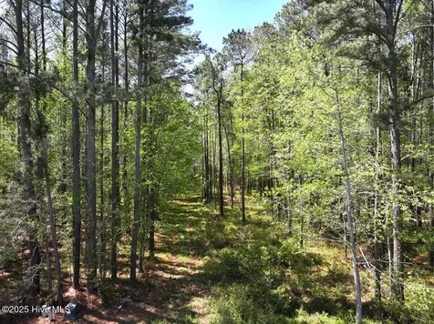 Lot 5 Mixon Creek Drive Bath NC 27808