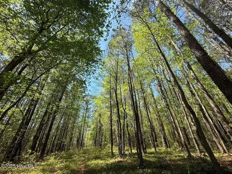 Lot 5 Mixon Creek Drive Bath NC 27808