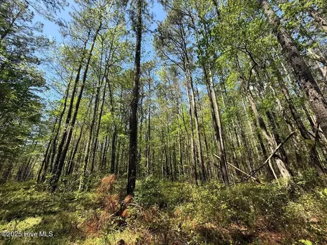 Lot 5 Mixon Creek Drive Bath NC 27808