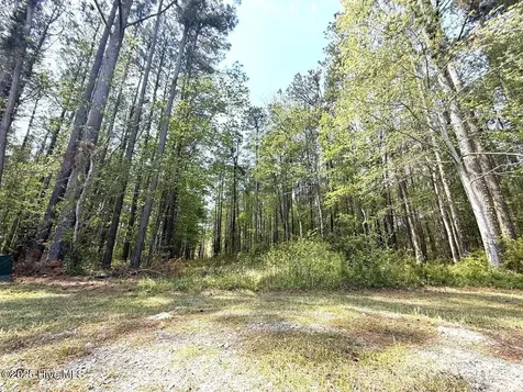 Lot 5 Mixon Creek Drive Bath NC 27808
