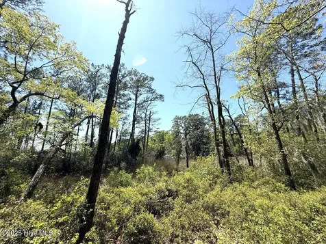 Lot 5 Mixon Creek Drive Bath NC 27808