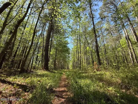 Lot 5 Mixon Creek Drive Bath NC 27808