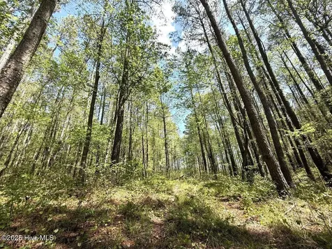 Lot 5 Mixon Creek Drive Bath NC 27808